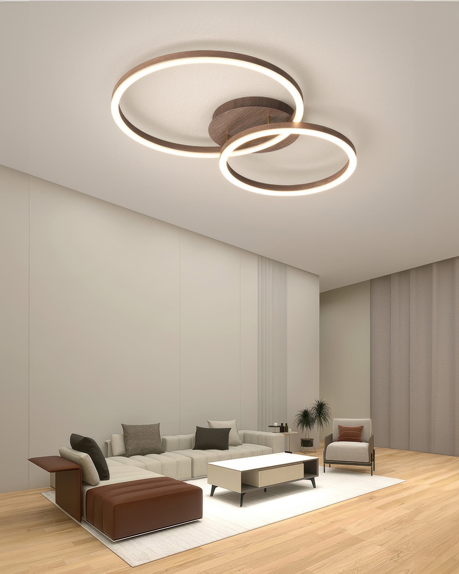 Elegant Ring Ceiling Luminaire