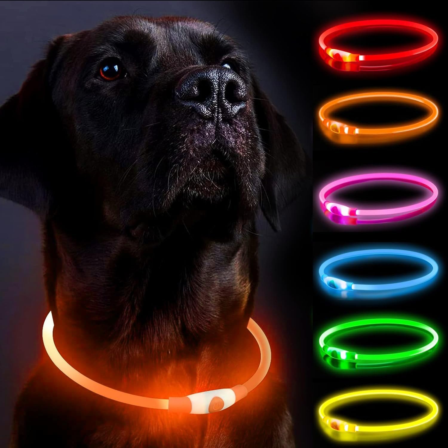 Coleira LED para Cães, Coleiras para Cães, Recarregável Brilhante para Passeios Noturnos