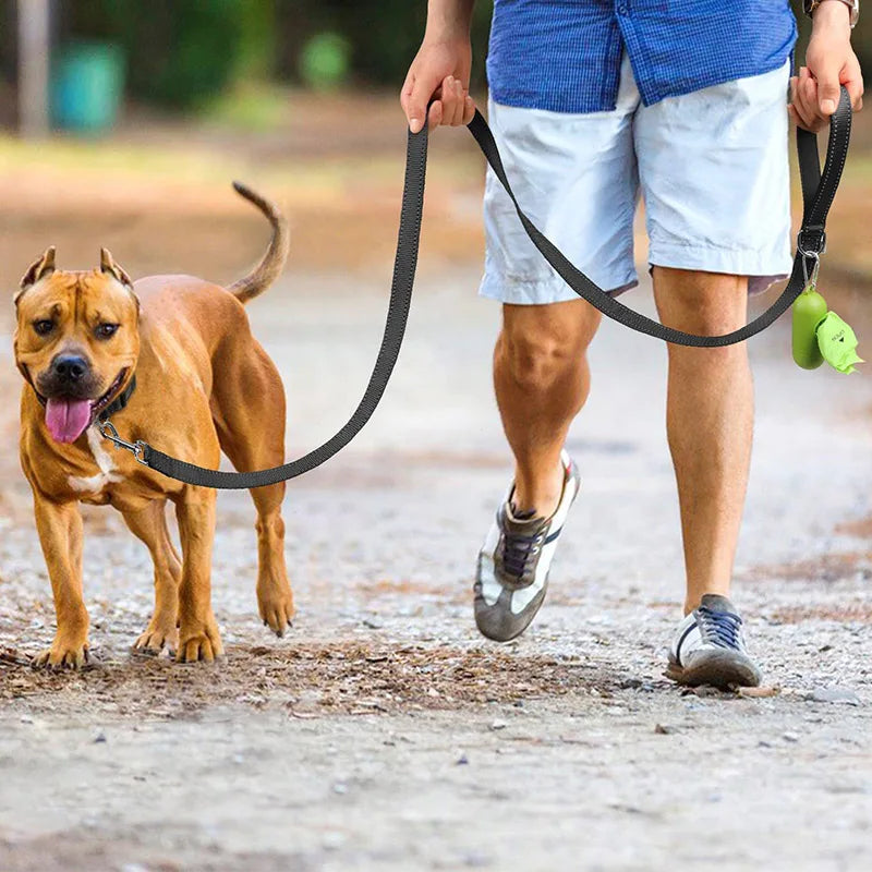 Reflective Dog Leash with Strengthened Clasp