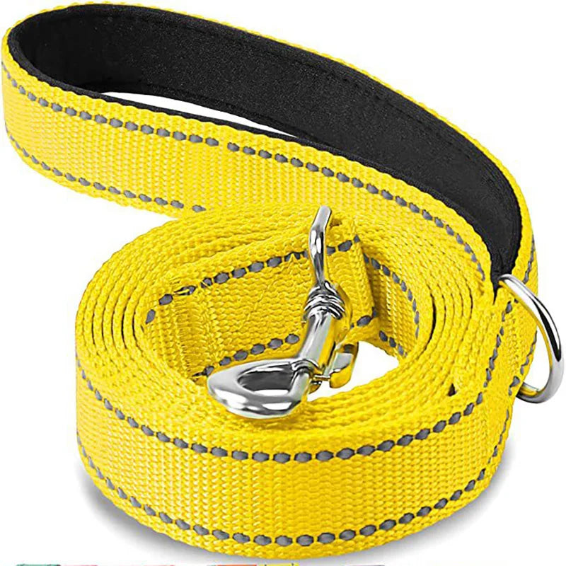 Reflective Dog Leash with Strengthened Clasp