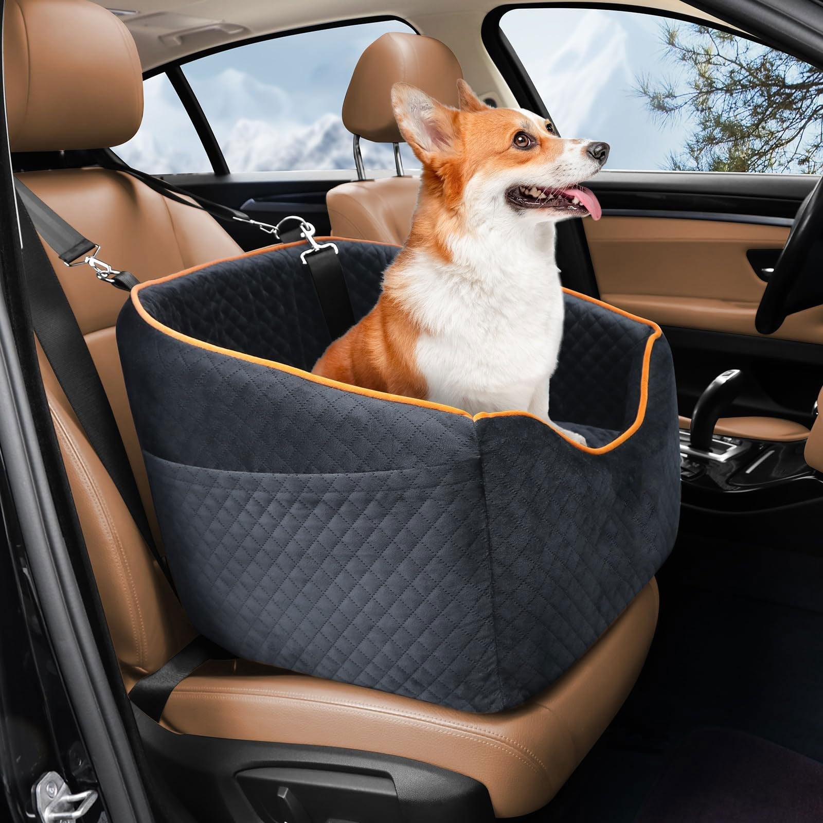 Asiento elevador para perros para viajes en coche