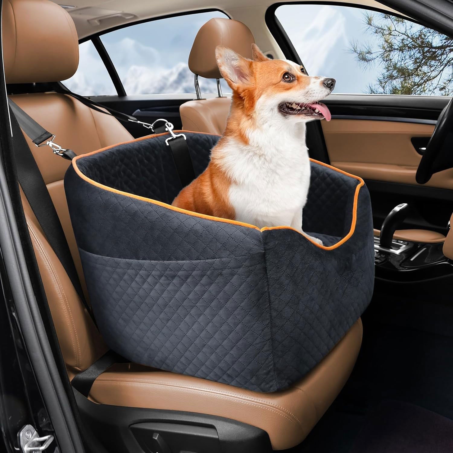 Seggiolino rialzato per cani per viaggi in auto