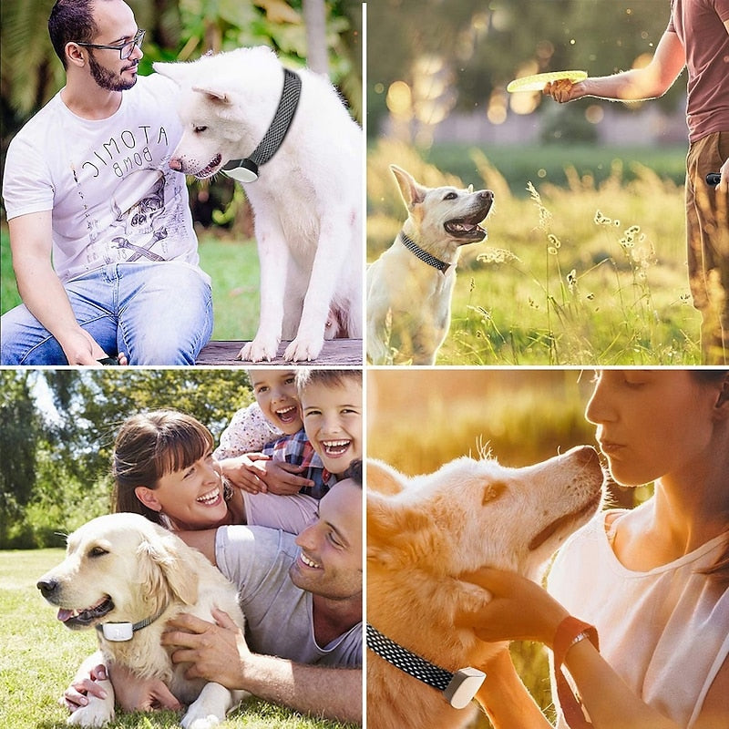 Wiederaufladbares, wasserdichtes Anti-Bell-Hundehalsband mit Touchscreen