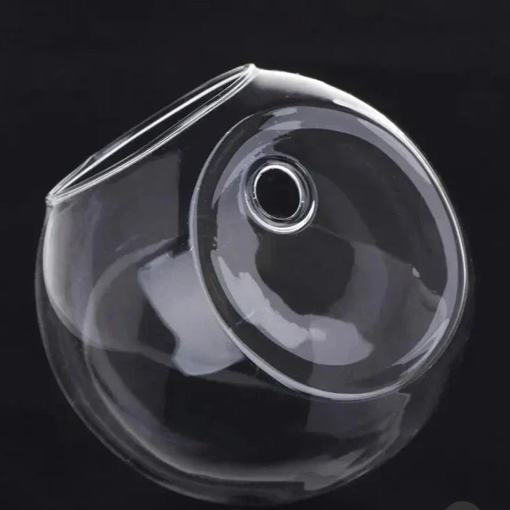 Floating Vase - Hanging Glass Hydroponic Vase