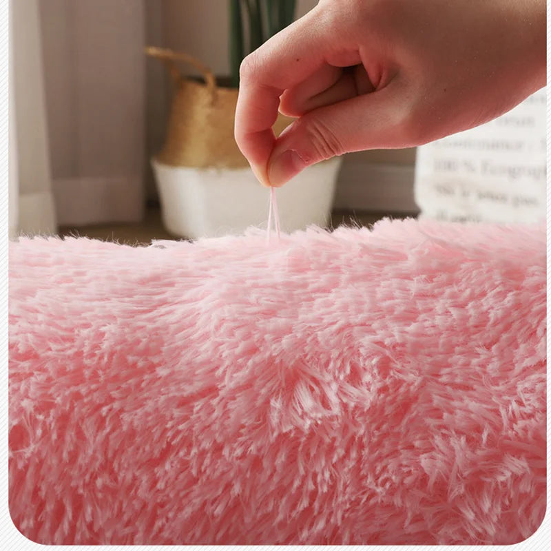 Tapis Doux et Fluffy Winnie – Tapis Shaggy Confortable pour Salon et Chambre