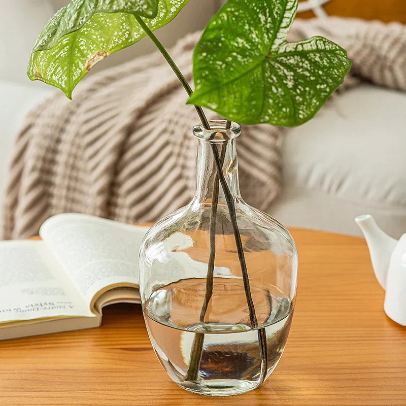 Vase Glass Gjennomsiktig blomsterdekorasjon Ornamenter Potbelly Water for grønne planter