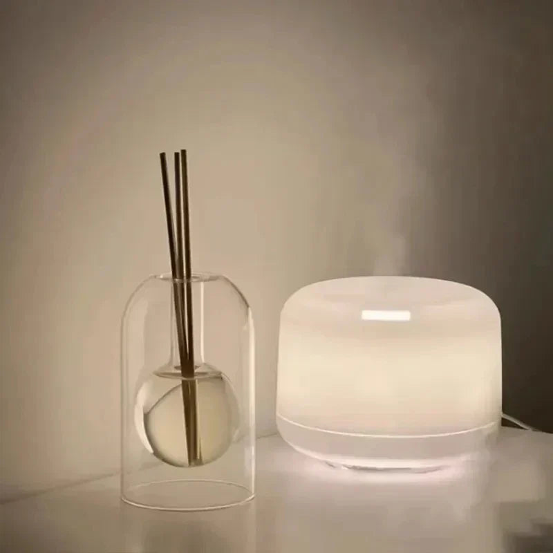 Bottiglia diffusore in vetro doppio | Vaso per aromaterapia resistente ed elegante per fragranze per la casa