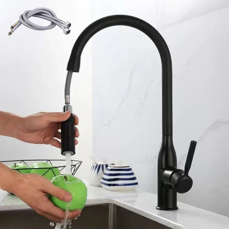 SteelFlow – Kitchen mixer tap with pull-out hand shower faucet