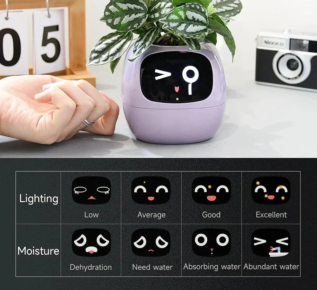 Ivy's Smart Planter: 49 Expressions & AI Sensors for Plant Care