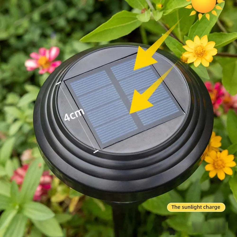 DesignTod | Solar Flare Garden Lights