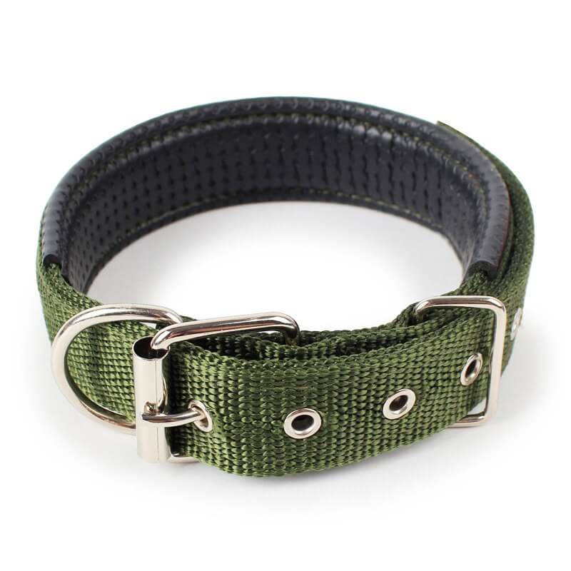 Collier ajustable pour chien My Furry Friend™