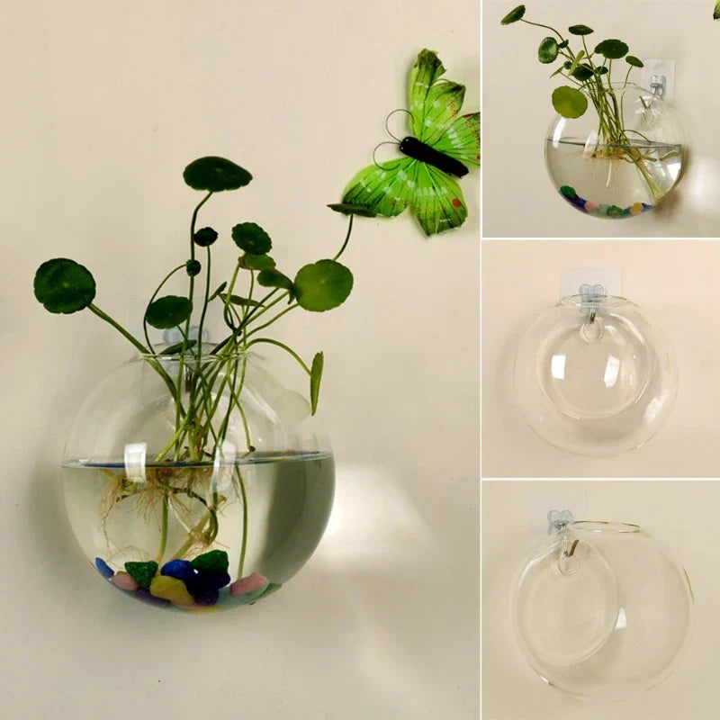 Schwimmende Vase - Hängende Hydrokulturvase aus Glas