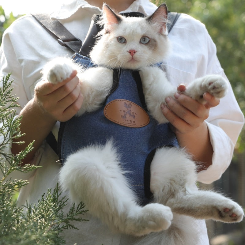 Rucksack mit Haustiergriff