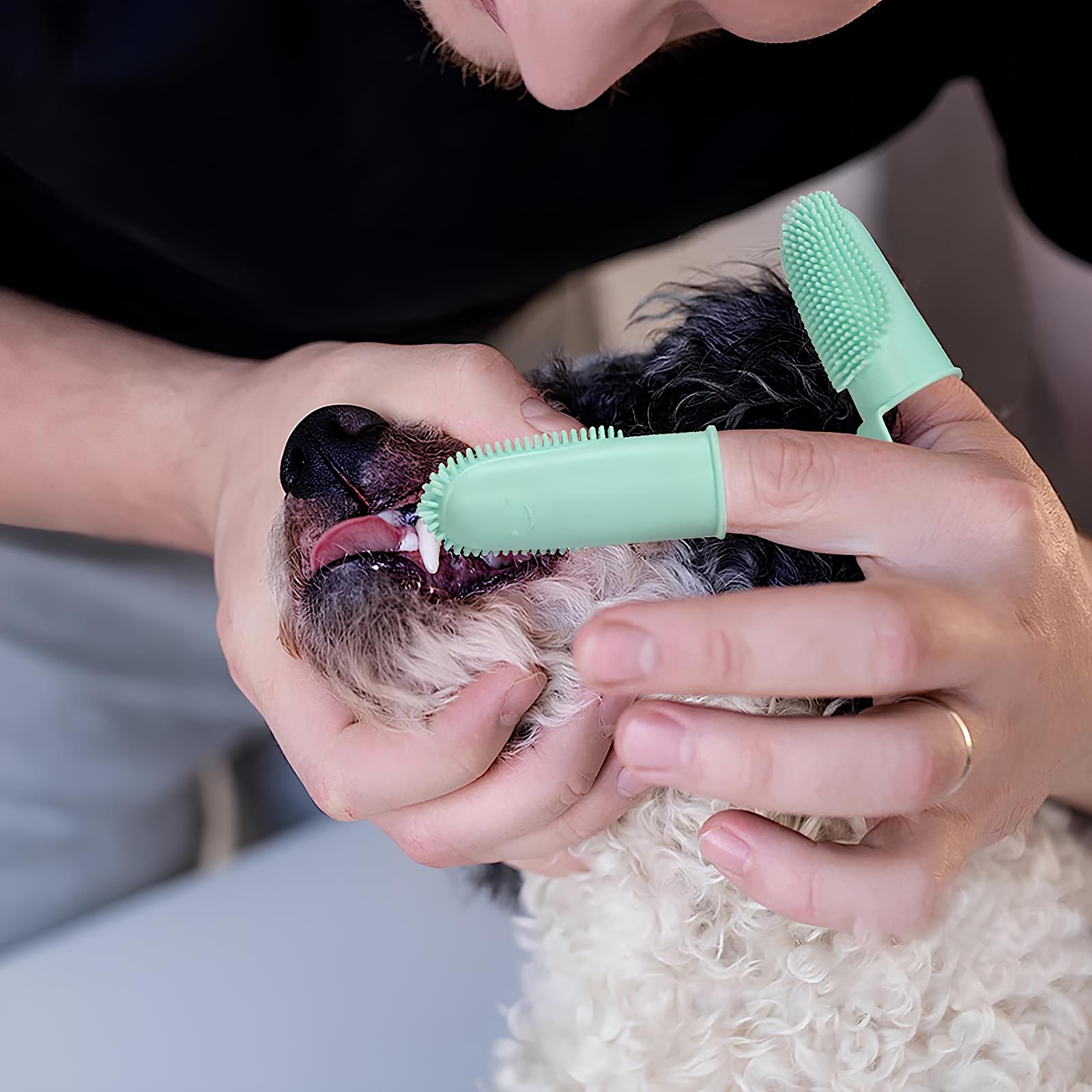 Hund Silikon Finger Tannbørste