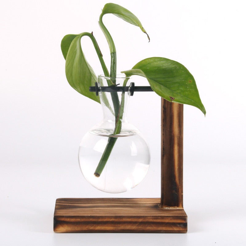 Vintage Garden  - Wooden Frame Terrarium Hydroponic Plant Vases