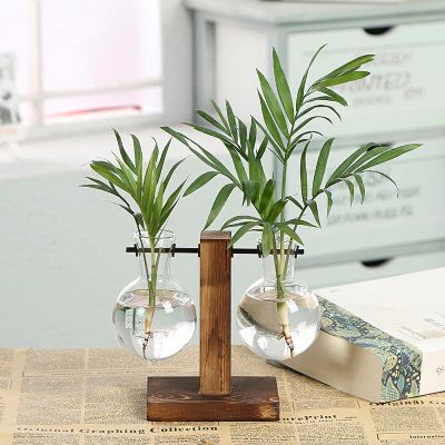 Vintage Garden  - Wooden Frame Terrarium Hydroponic Plant Vases