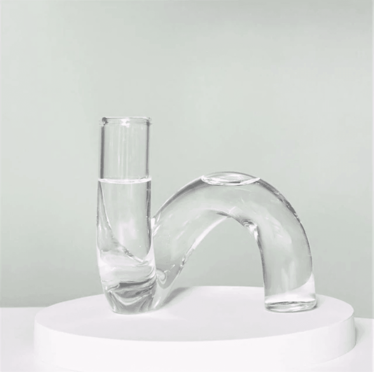 In the Loop Hydroponic Vase