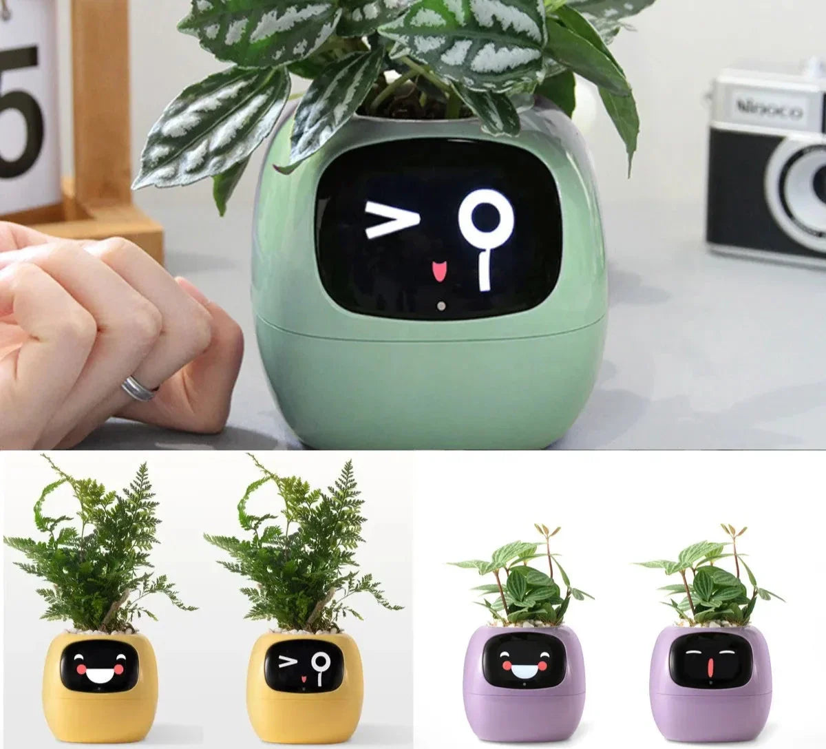 Ivy's Smart Planter: 49 Expressions & AI Sensors for Plant Care