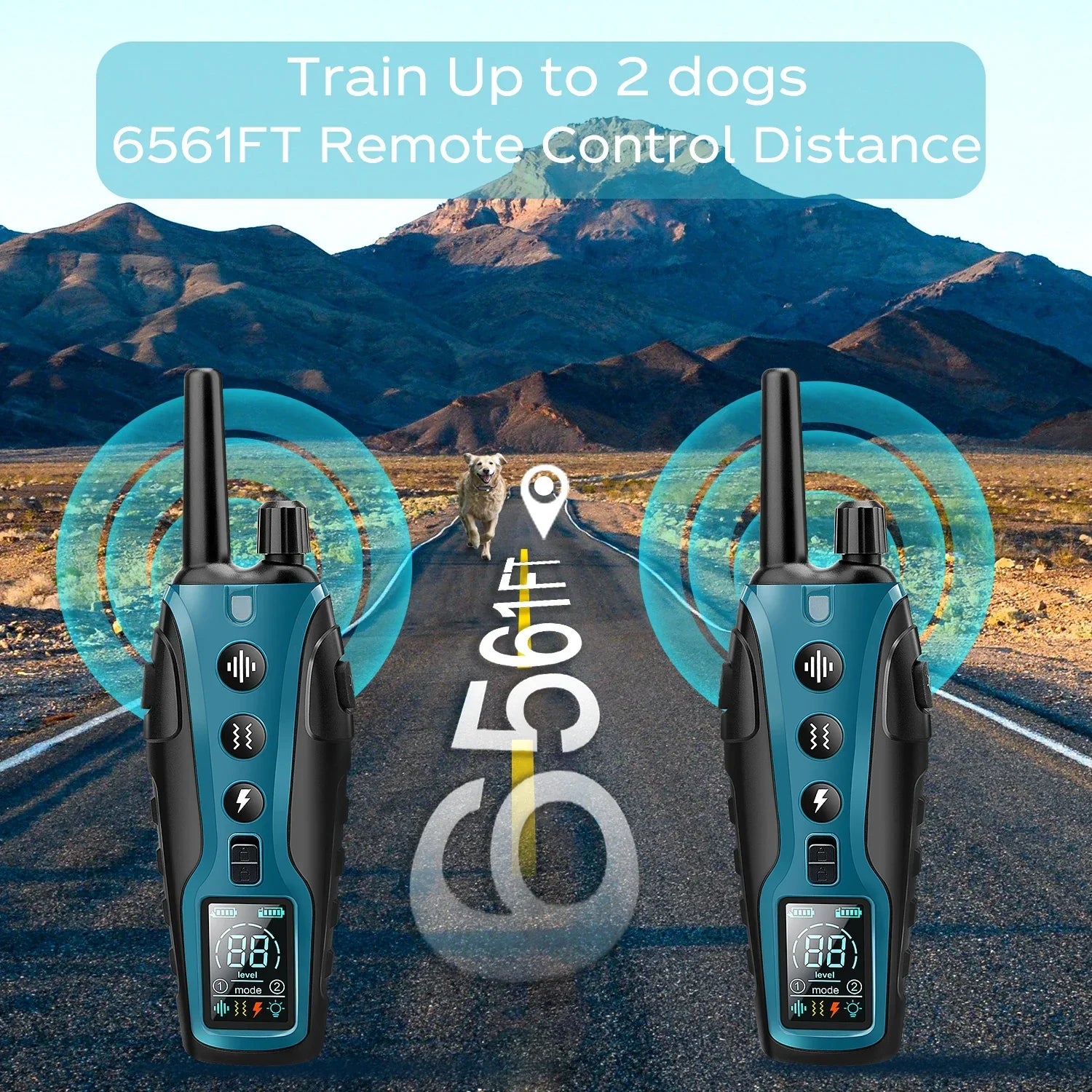 Advanced Dog Training Collar with Flashlight