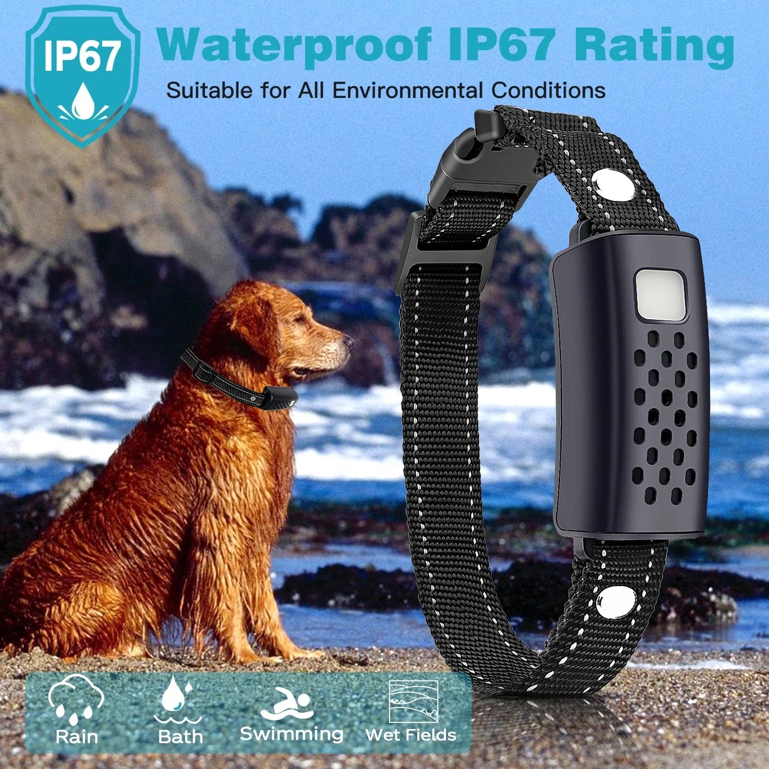 Advanced Dog Training Collar with Flashlight