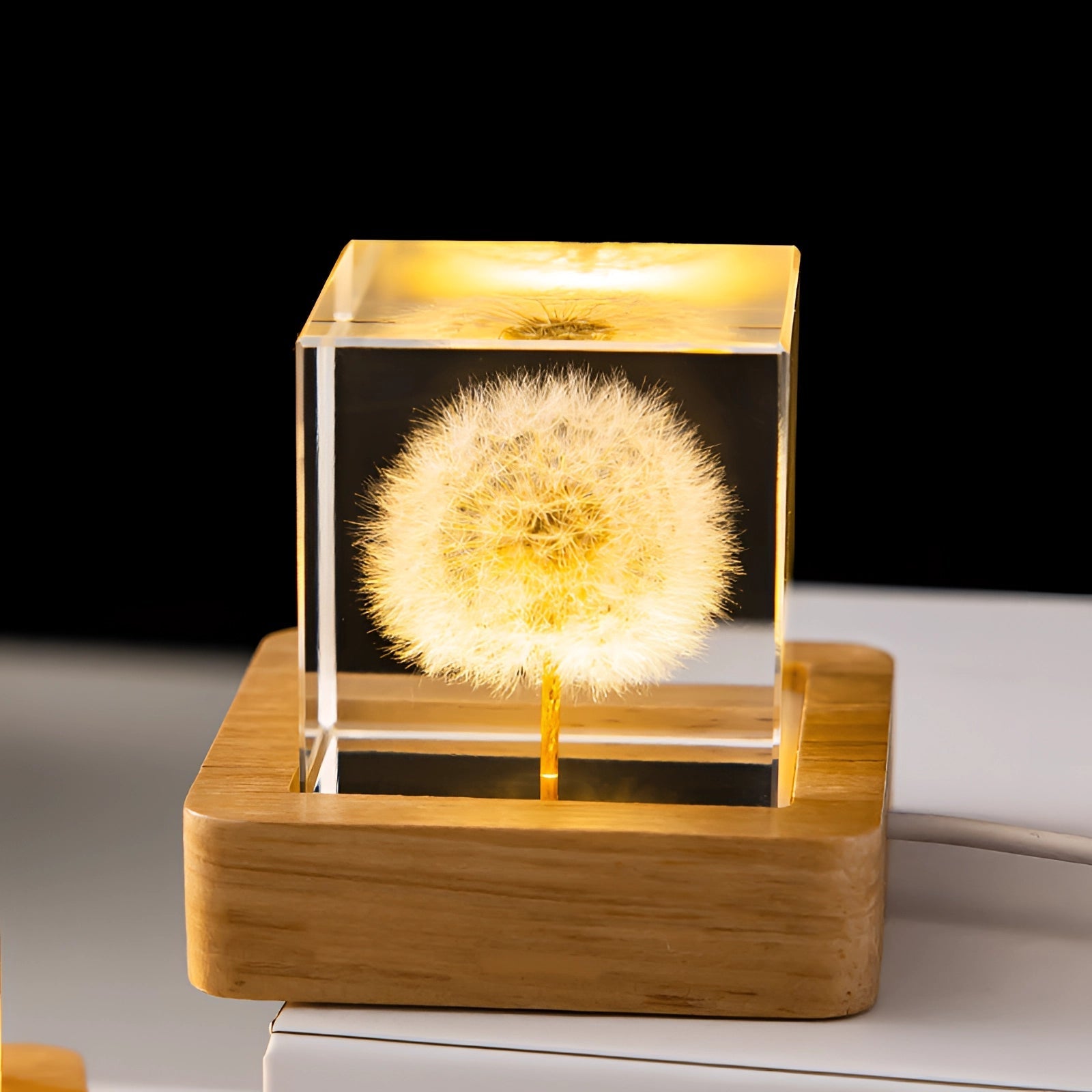 Dandelion Resin Lamp with LED Wooden Base - Unique Botanical Night Light