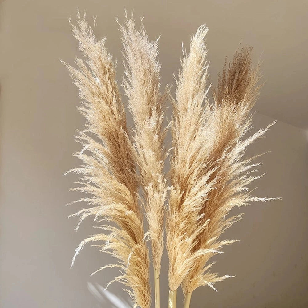 Large Dried Pampas Grass Bouquet - Fluffy Boho Decor & Rustic Centerpiece