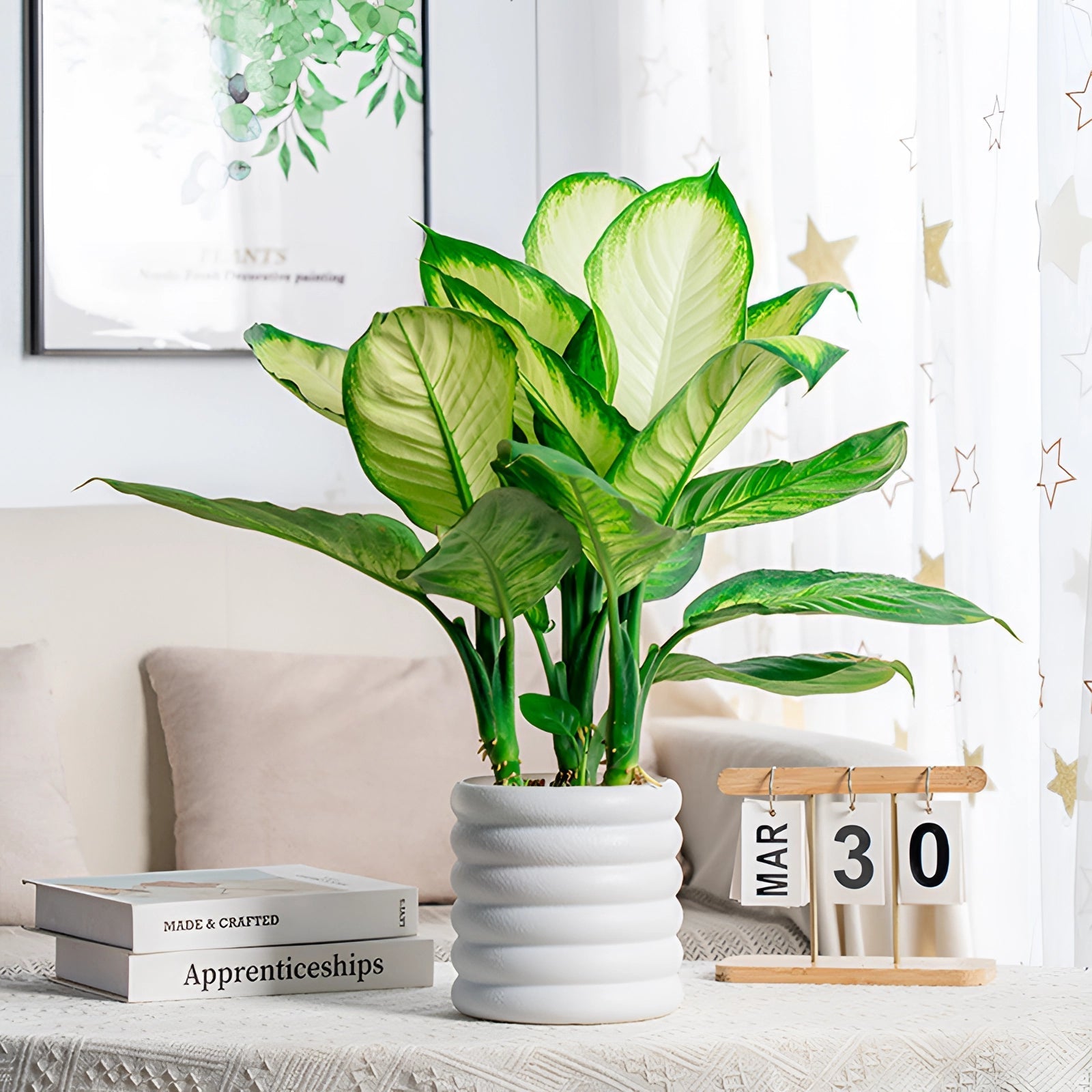 Peace Lily in White Planter - Indoor Air Purifying Decor