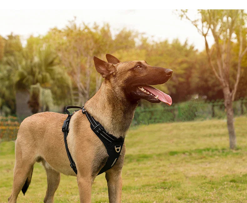 True Love No-Pull Nylon Reflective Dog Harness