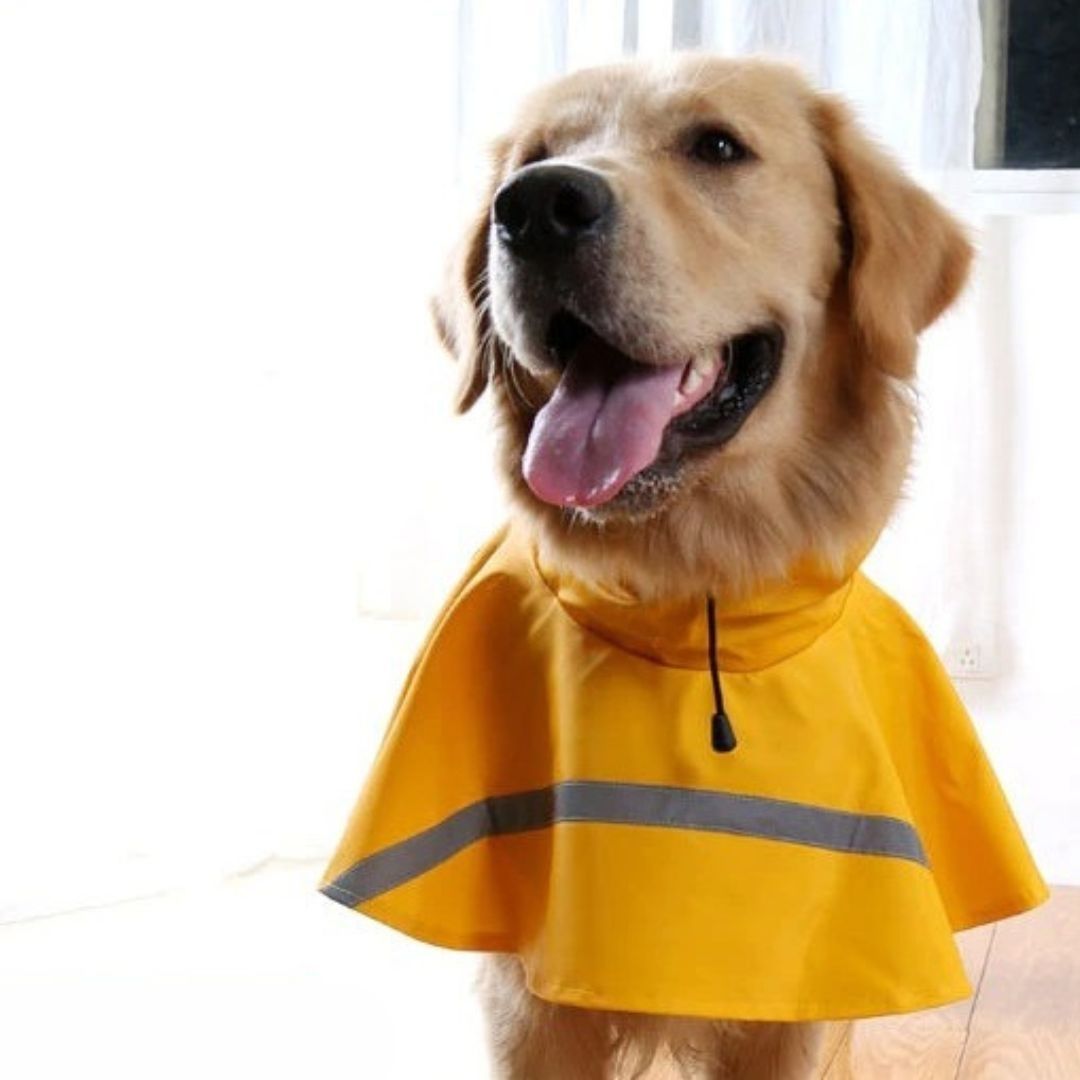 My Furry Friend™ - Impermeable reflectante