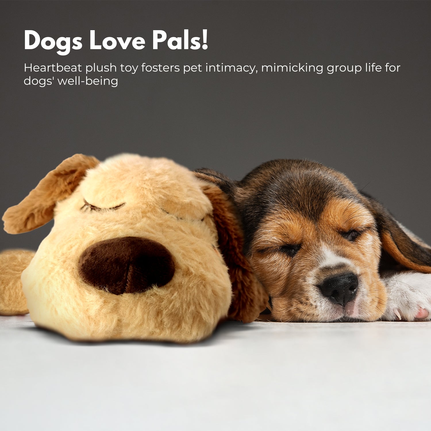 Calming Plush Dog Toy with Soothing Heartbeat for Puppy Comfort