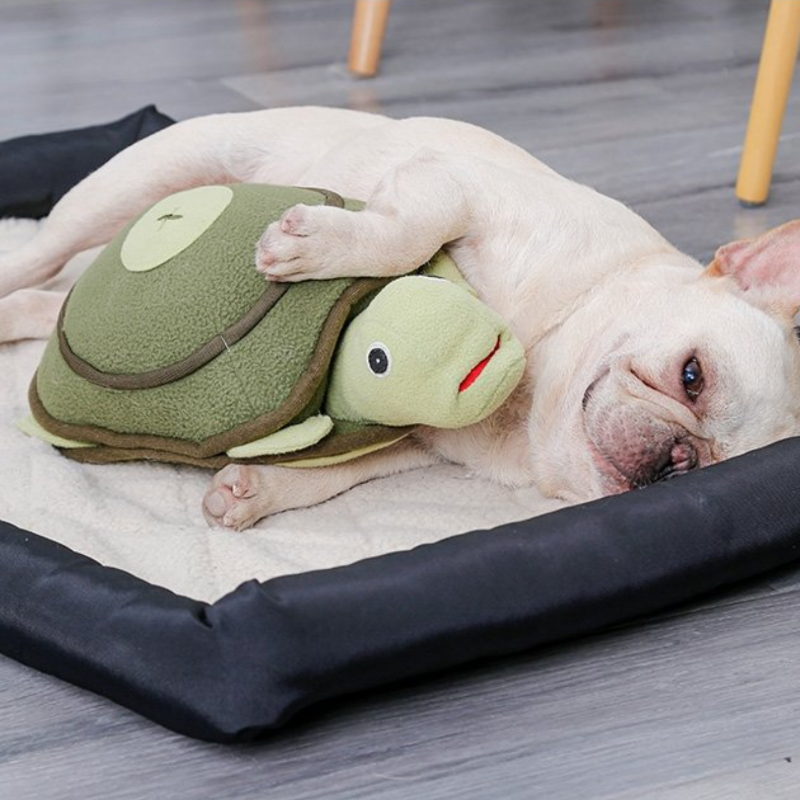 Turtle Treat Puzzle Schnüffelmatten für Hunde