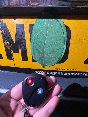 Leafy Magnet - Never Get A Speeding Ticket Again!