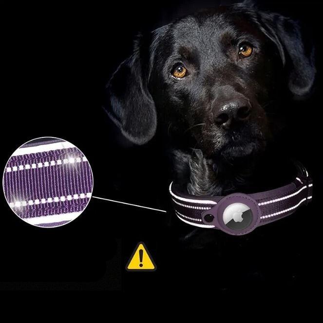 Anti-Loss Apple AirTag Tracker Collar | Safe and Convenient