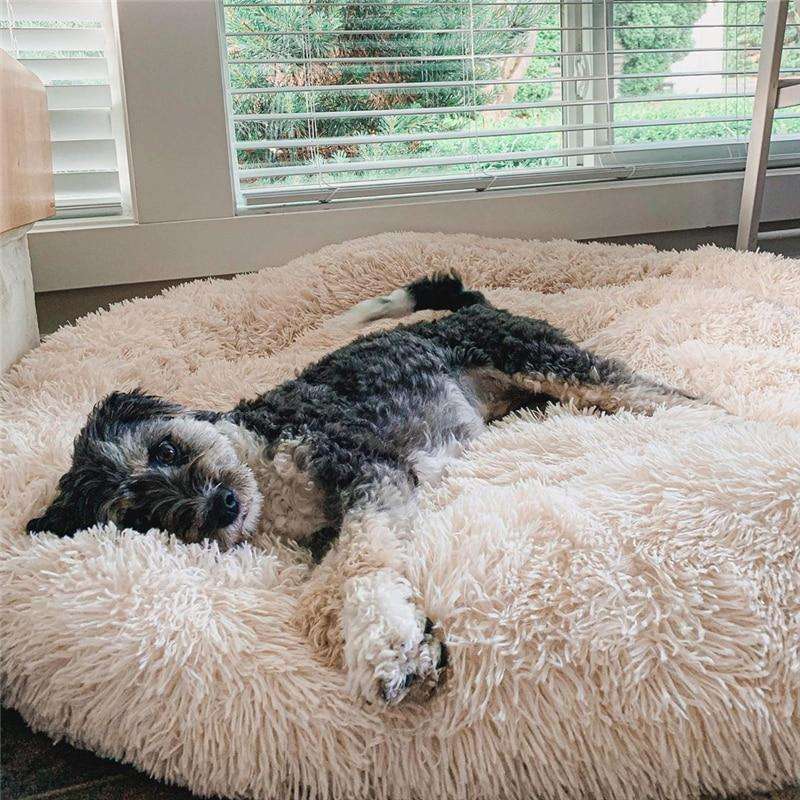 My Furry Friend™ - Anxiety Relieving Dog Bed