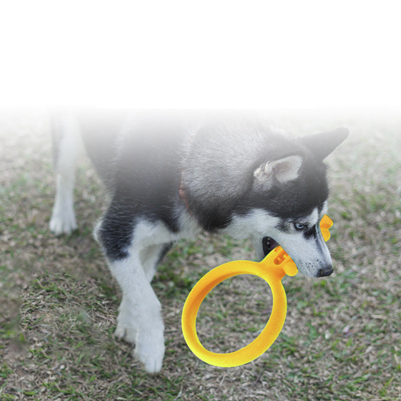 AquaChew Floating Fun: Durable Dog Water Toy