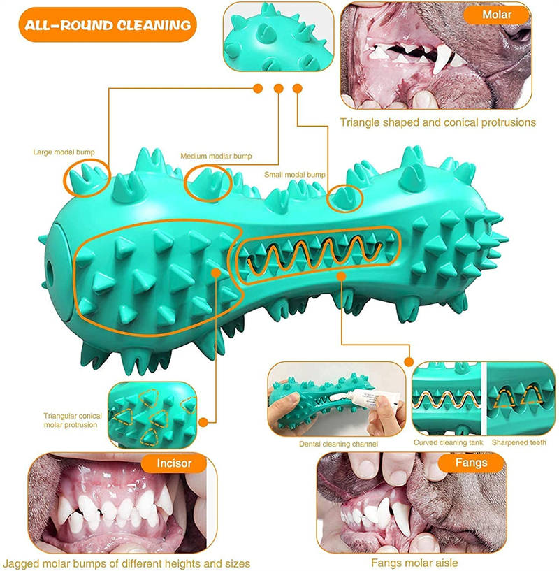 BiteClean Dental Stick: Rubber Chew Toy for Dog Teeth Health