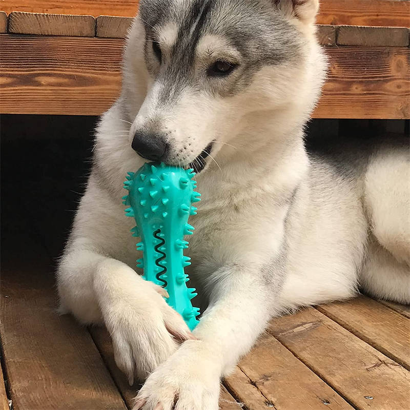 BiteClean Dental Stick: Rubber Chew Toy for Dog Teeth Health