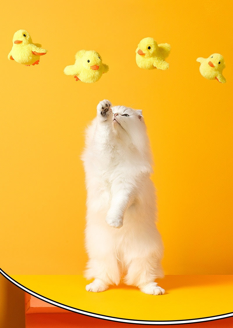 Bouncy Buddy Flapping Duck: giocattolo interattivo per gatti