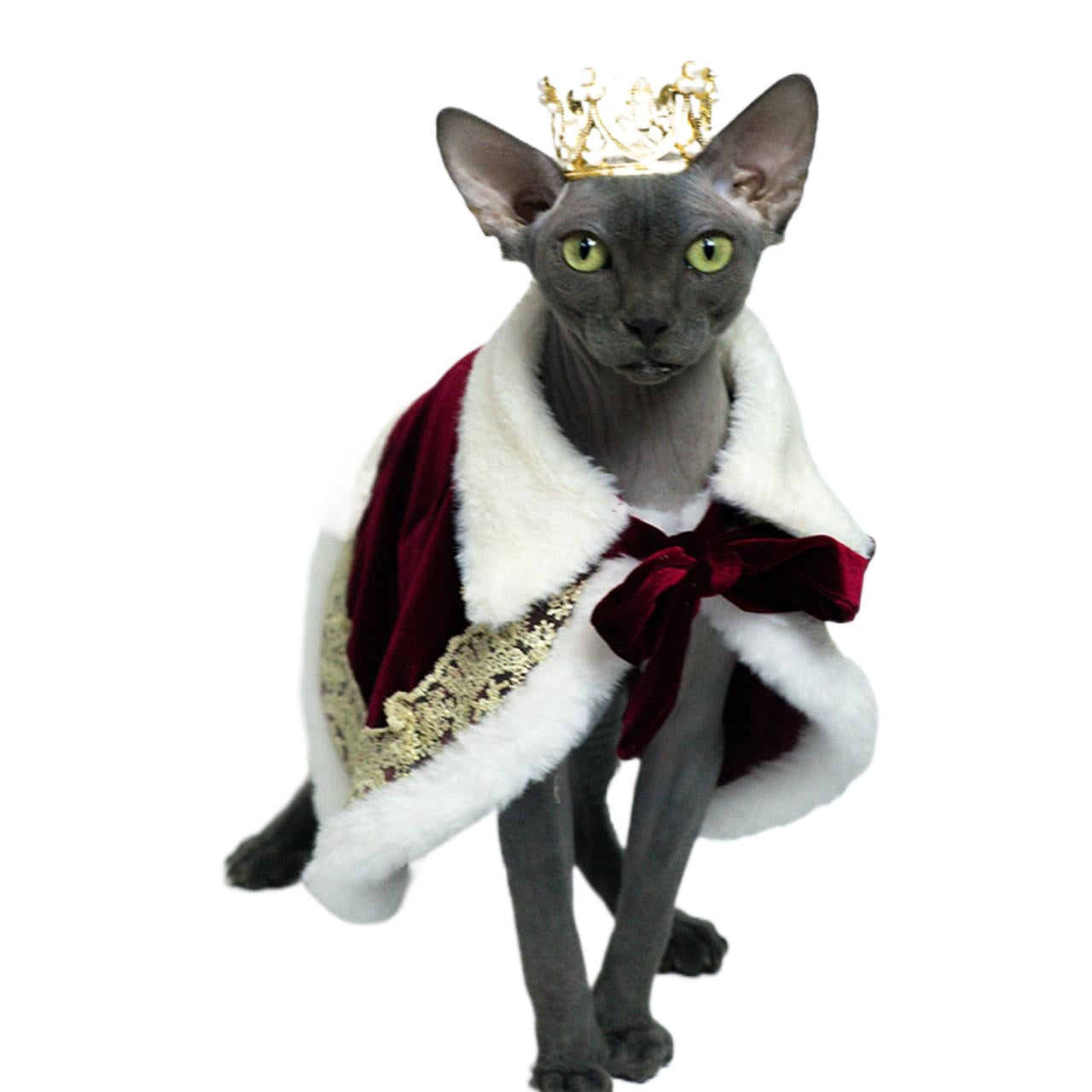 Majestic Royalty King Cape Pet Costume