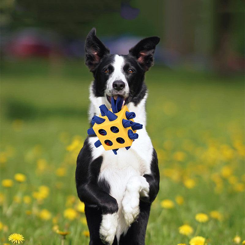 Chew & Learn Cube: Interactive Educational Toy for Dogs