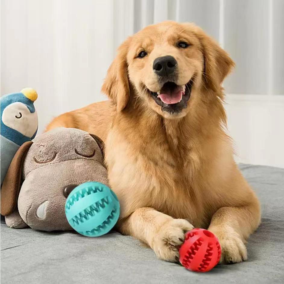 ChewRope Tug Ball : jouet à mâcher pour chien avec corde de tir à la corde