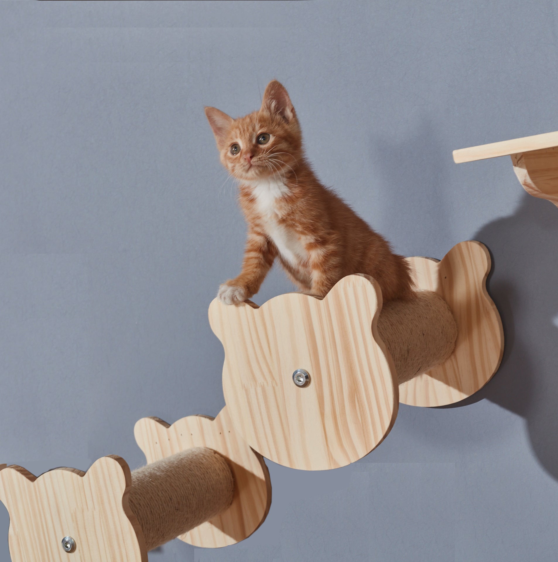 ClimbCraft Deluxe aan de muur gemonteerd kattenavontuur: massief houten sisalpaal en speelplatform