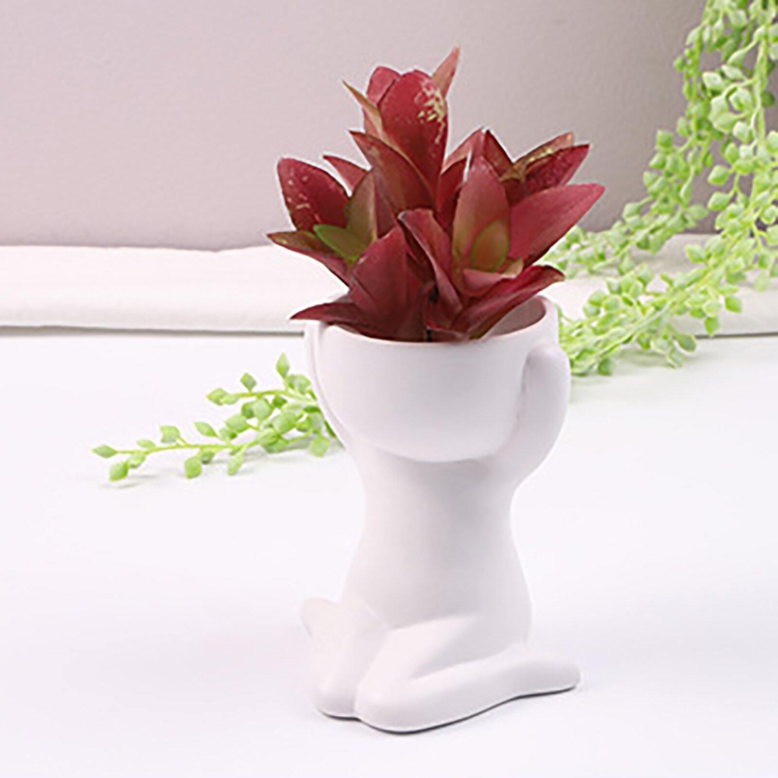 Petit pot de fleurs en céramique pour plantes succulentes