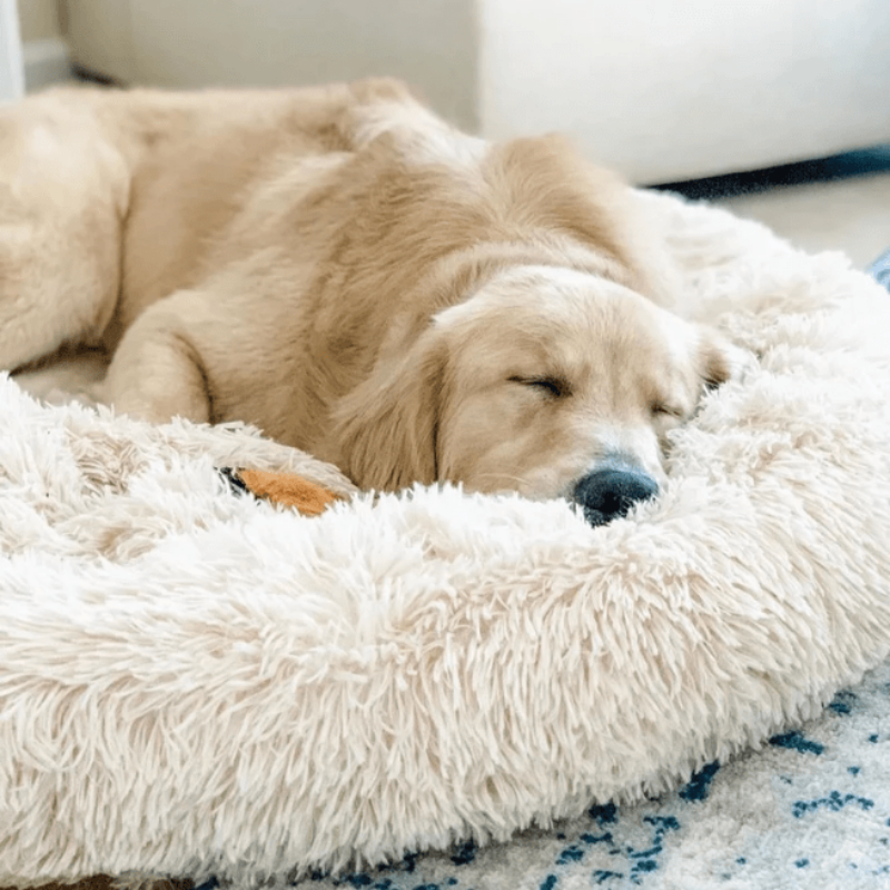 Letto rotondo per cani a ciambella calmante in peluche per cani di piccola e grande taglia