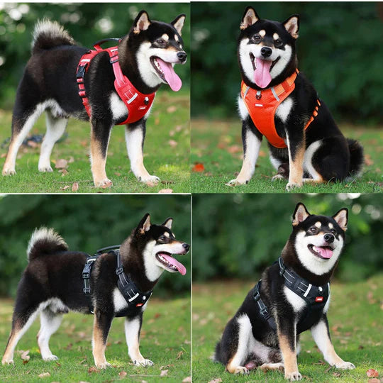 🐕Safe and Comfortable Dog harness