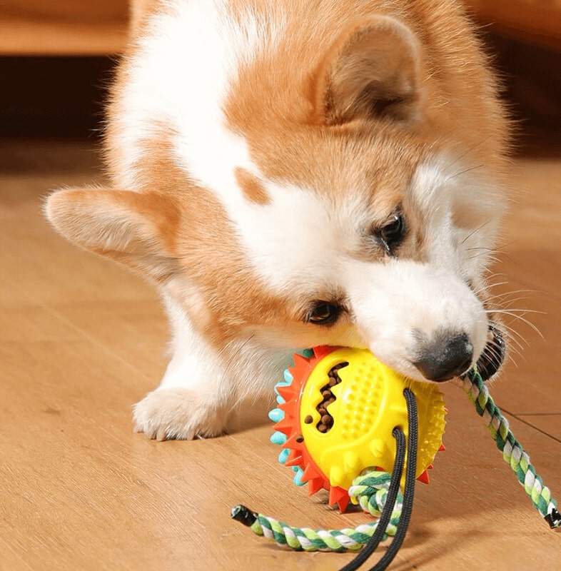 My Furry Friend™ - Teeth Cleaning Toy