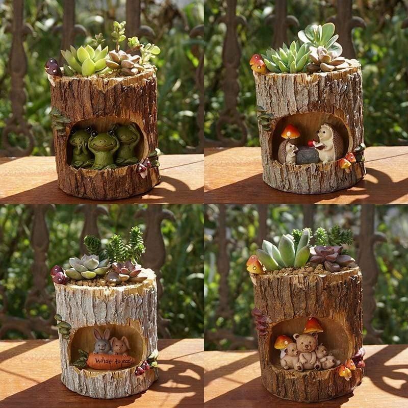 Charmante jardinière pour plantes succulentes