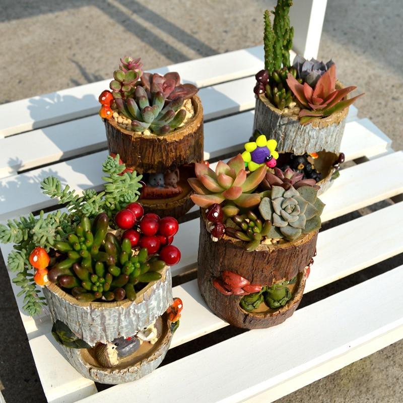 Charmante jardinière pour plantes succulentes