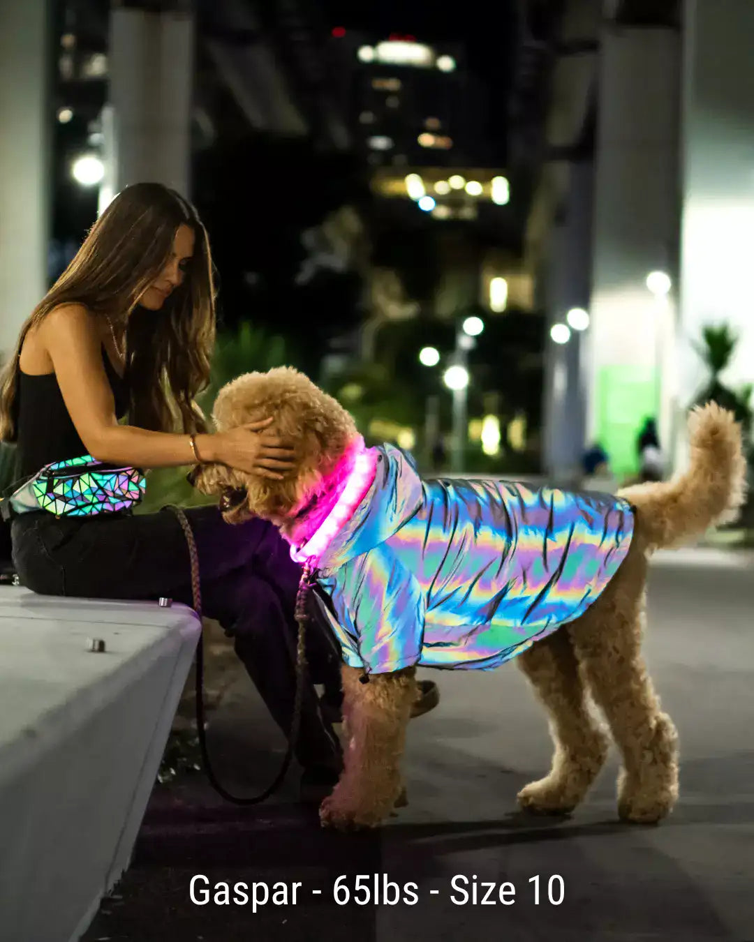 PoochShine™ | Reflective Wear for Dogs