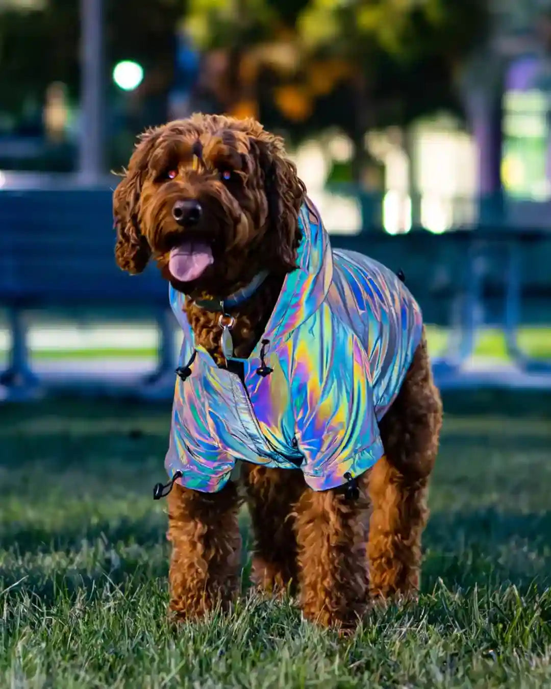 PoochShine™ | Reflecterende kleding voor honden